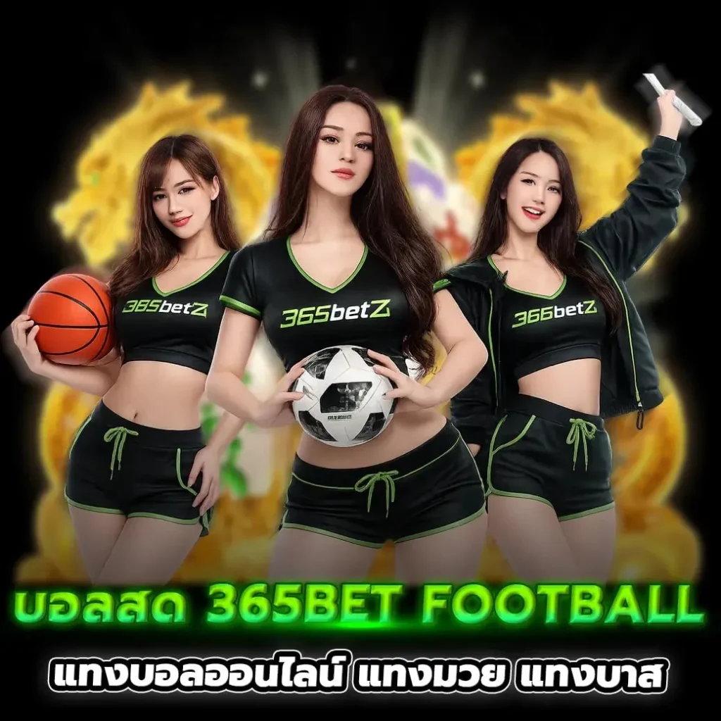 ดู 365bet soccer